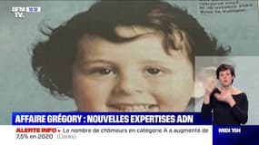 Affaire Grégory: la justice accepte de nouvelles expertises ADN