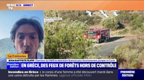 Incendies : la Grèce en grande difficulté - 13/08