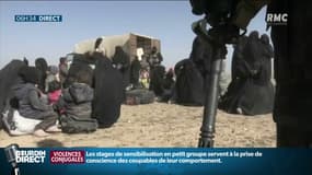 Image d'Archives
