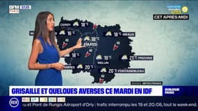 Météo Paris-Ile de France du 22 juin : Grisaille et quelques averses durant la journée