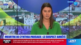 Villeurbanne: la BST déployée dans le quartier du Tonkin à partir de ce vendredi