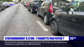 Stationnement à Lyon : une vignette par foyer? 