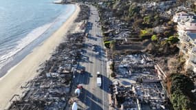 Vue aérienne de maisons en bord de mer détruites lors de l'incendie de Palisades, dans la région de Los Angeles le 16 janvier 2025.