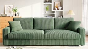 Ces 3 canapés en velours côtelé sont en promotion chez vente-unique !