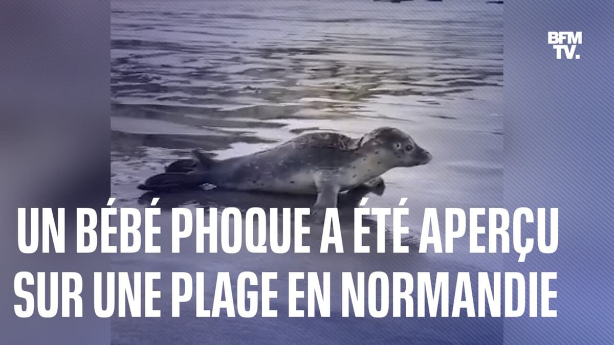 placeholder video
