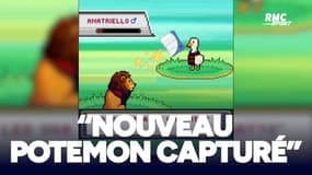 Potenza Calcio : "Nouveau Potemon capturé", l'improbable annonce de leur nouvelle recrue