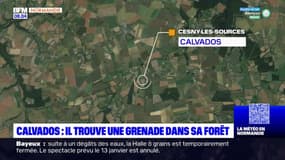 Calvados: un homme retrouve une grenade dans sa forêt privée