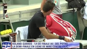 Incertain avant Roland-Garros, Del Potro renoue avec les sommets