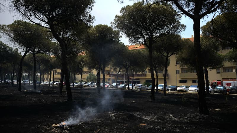 Incendie dans le parc naturel de Doñana dans le sud de l'Espagne, le 25 juin 2017.