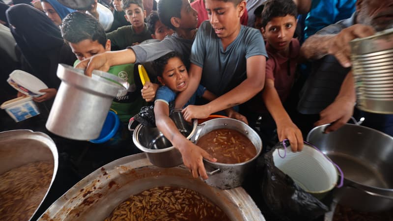 Maladies de peau, famine, manque d'eau... "Les conditions dans la bande de Gaza sont catastrophiques" alerte Médecins sans frontières