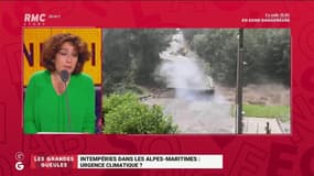 "Certains villages ne doivent plus exister": à quoi sont dues les intempéries qui ont touché les Alpes-Maritimes ?