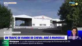 Marseille: un trafic de viande de cheval jugé à partir de mardi