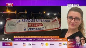 Les agriculteurs en colère mobilisés à Versailles