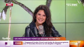 C'est votre avis : Les moustiques vont-ils gâcher notre été ? - 12/07