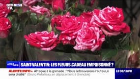 UFC-Que Choisir alerte sur des bouquets de fleurs contaminés par les pesticides