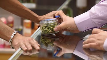 L cannabis récréatif est légal dans dix états américains