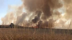 Feu de champ de blé en Péronne - Témoins BFMTV