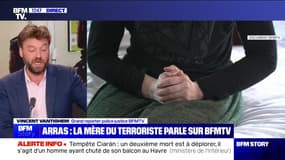 Story 3 : Arras, la mère du terroriste parle sur BFMTV - 02/11