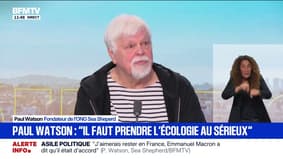 Lutte contre la chasse à la baleine: "Être citoyen américain n'est pas une garantie que je ne vais pas être extradé vers le Japon", confie Paul Watson 