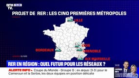 RER en région: quel futur pour les réseaux ?