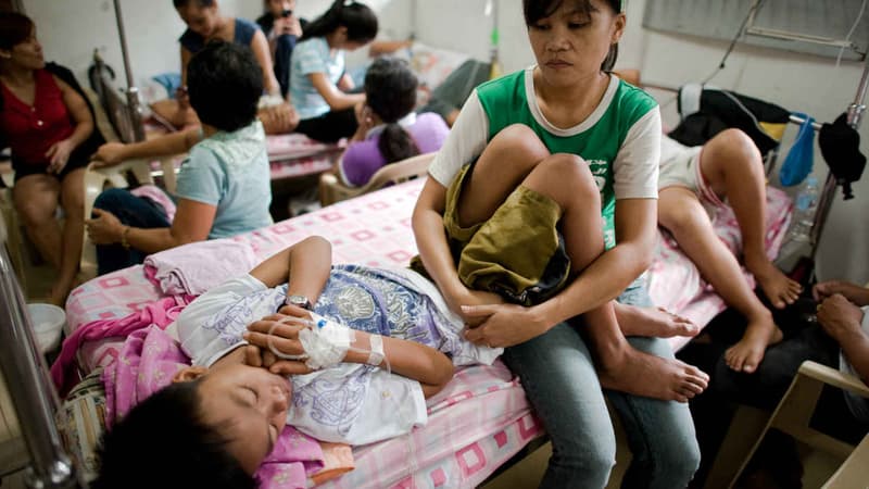 Environ 67 millions de personnes contractent chaque année la dengue en Asie.