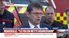 Incendie à Marseille: le préfet des Bouches-du-Rhône indique "70 maisons atteintes, et 10 maisons détruites"