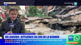 L'affluence était au rendez-vous au zoo de la Barben le 1er-Janvier