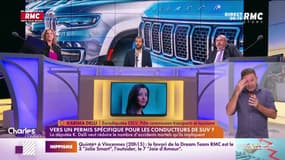 L'eurodéputée EELV Karima Delli s'attaque aux SUV et veut un permis spécial pour les conduire