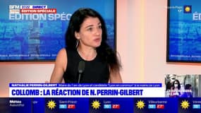 Elections à Lyon: Nathalie Perrin-Gilbert prête à un accord avec les Verts "mais pas à n'importe quelle condition"