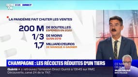 Pourquoi les viticulteurs et maisons de champagne se sont mis d'accord pour réduire les récoltes d'un tiers ?