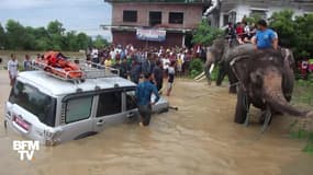Inondations au Népal: des touristes évacués à dos d'éléphant 