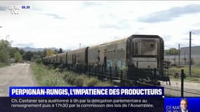 Train Perpignan-Rungis: les producteurs espèrent sa remise en route rapide
