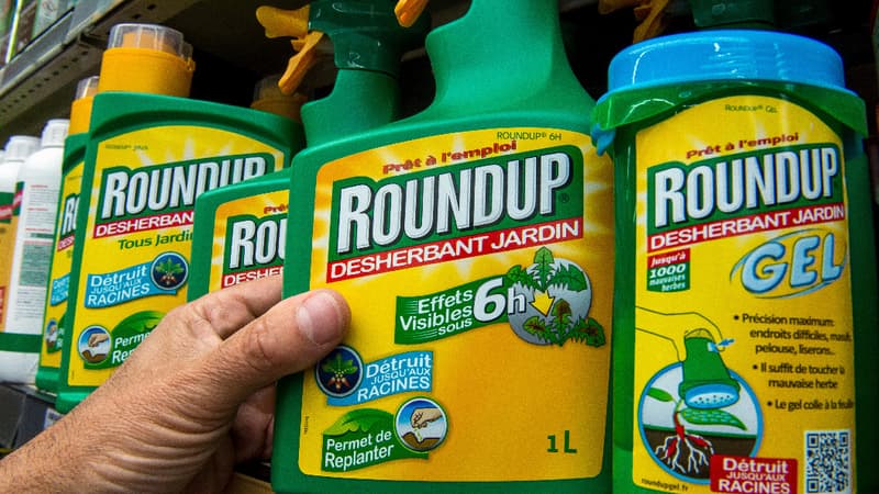 Alors que Ségolène Royal cherche à interdire à la vente le Roundup, dans les jardineries ses ventes ne cessent de croître. (image d'illustration)