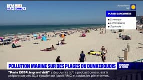 Nord: pollution marine sur les plages du Dunkerquois