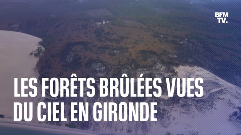 Incendies en Gironde: les images des forêts brûlées vues du ciel