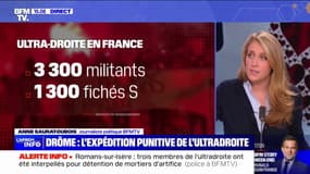 Que fait le gouvernement contre les militants de l'ultradroite?