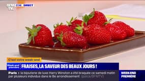 Comment bien choisir ses fraises parmi les 600 variétés sur le marché