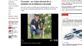 Daxx Van de Duvertorre et son maître-chien Frédéric Gaillard