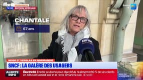 Neige et verglas en Normandie: la galère des voyageurs bloqués en gare de Rouen