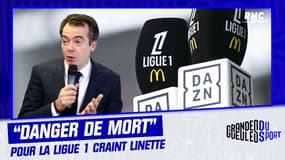 Audiences divisées, instabilité du diffuseur... la Ligue 1 est "en danger de mort" craint Linette 