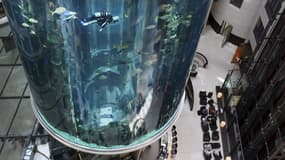L'AquaDom de l'hôtel Radisson Blu de Berlin, ici photographié le 10 mai 2011, contenait près d'un million de litres d'eau et abritait 1500 poissons tropicaux
