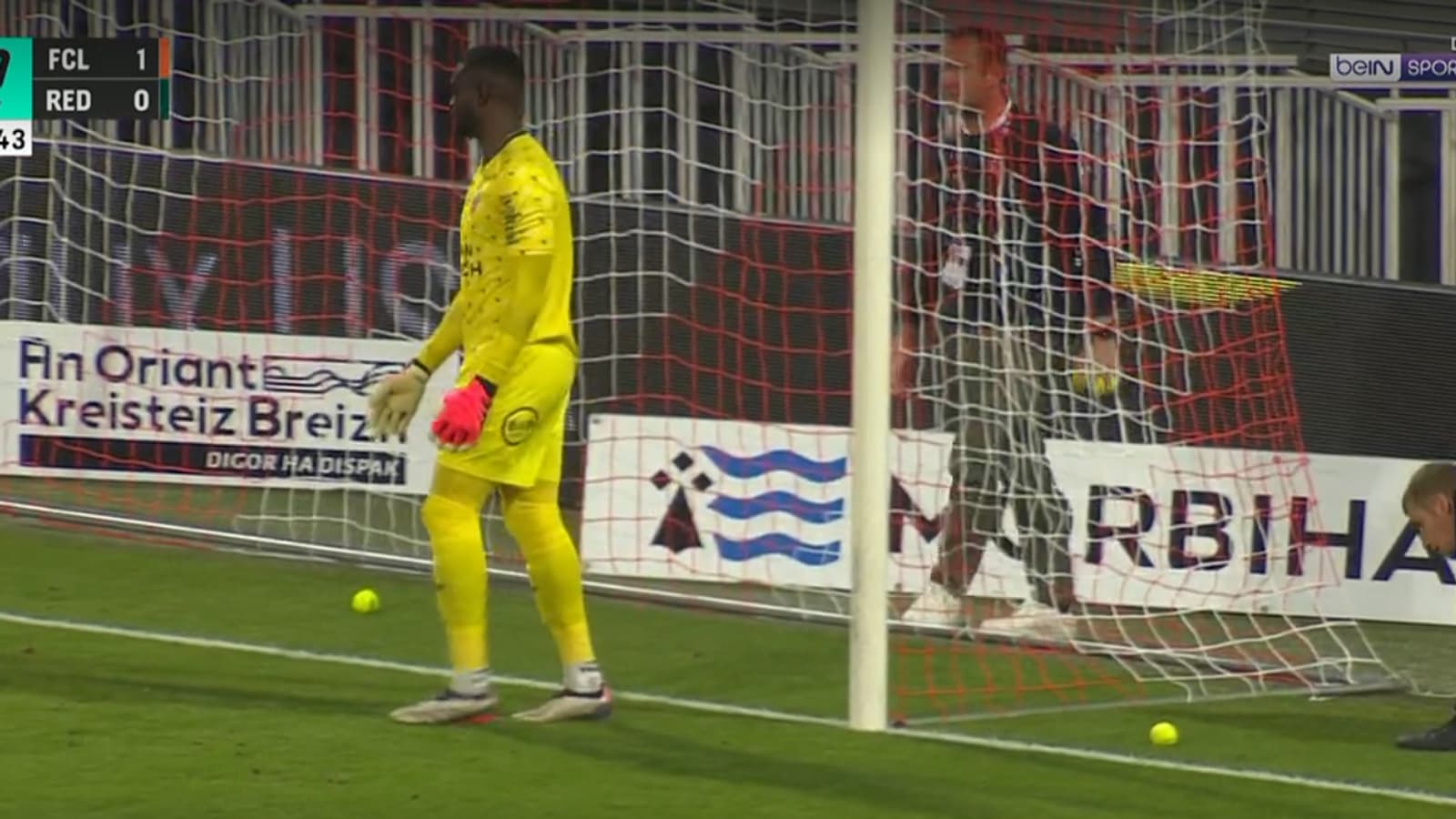 Des balles de tennis jetées sur la pelouse lors de Lorient-Red Star, le 13 septembre 2024.