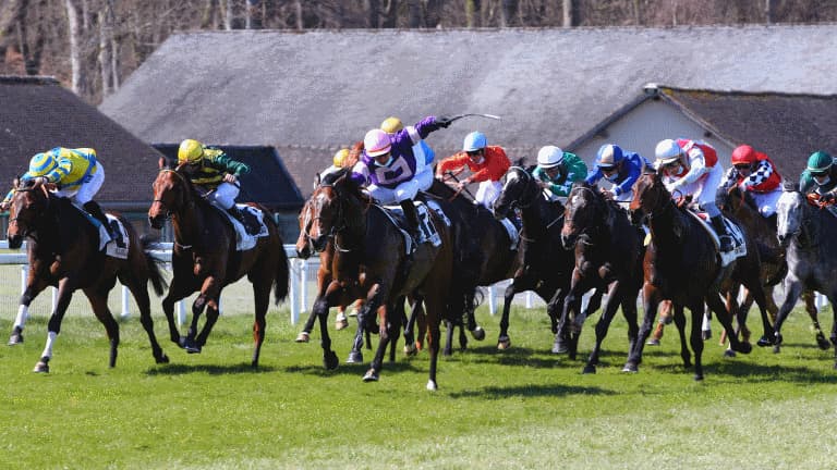 Les pronos hippiques du 4 novembre 2024