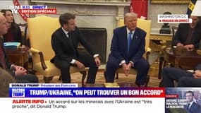 Donald Trump: "L'Otan, quand c'est bien utilisé, c'est un formidable outil"