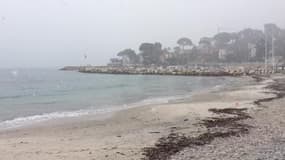 La neige arrive à Antibes, dans les Alpes-Maritimes - Témoins BFMTV