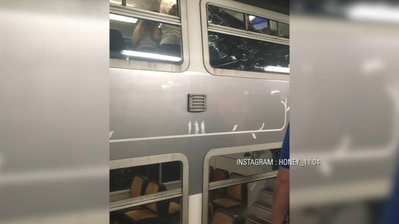 Une jeune maman a donné naissance à un petit garçon à bord de cette rame de RER.