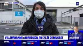 Villeurbanne: une surveillante d'un lycée agressée par une élève