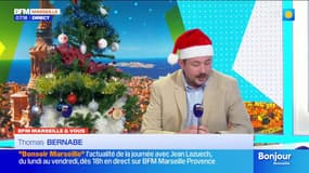 BFM Marseille et vous: où trouver un beau sapin écologique?