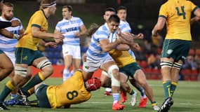 Pas de vainqueur entre Pumas et Wallabies