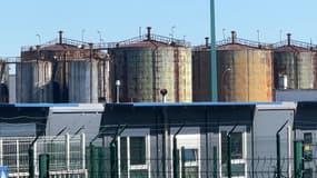 Les cuves de l'ancienne raffinerie de Vendenheim (Bas-Rhin), le 18 mars 2025, où l'entreprise gestionnaire Wagram Terminal veut stocker du gaz naturel liquéfié.